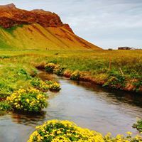 نجاح اللامي