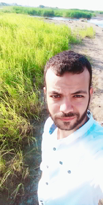 Ahmed Negm