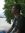Ronit