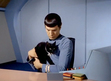 Spock's Cat