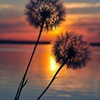 Sofia Nikmaturrohmah