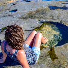 The Bookworm Downunder