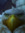 Warcraft | 1 comments