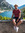 Karl | 1 comments