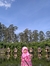 Sri Aminah