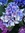 Kelly Johnson | 40 comments