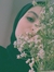 Lubna K...