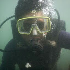 Rishi