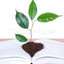 نادي سكراتش