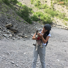 Aysel Akbarzade