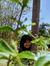 Riska M...