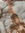 noor (smendes) | 290 comments