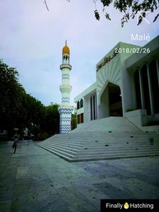 Hala