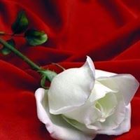 الصابرات روابح