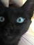 Tinical