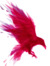 Atox Raven