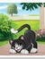 Talycat45