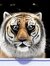 Richard Parker
