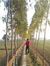 Nirav K...