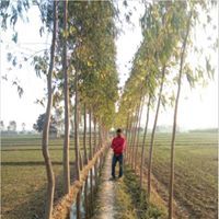 Nirav Kumar
