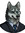 member photo member photo