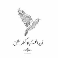 جمال عبد القادر