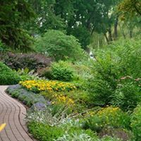 مدثر إبراهيم