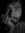 Alip Roy