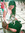 Priya B...