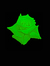 MyGreenSecretBlog