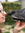 Melissa | 6 comments