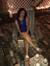 Ariel S