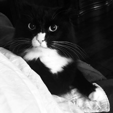 Emily Andrews griffin