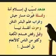 أبوأنس محمدصلاح