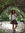 Bev Moncrief | 4 comments