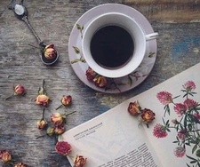 Panic!AtTheWritingDesk