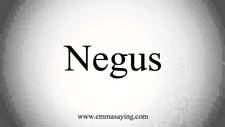 Negus B