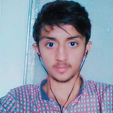 Hamzii Awan