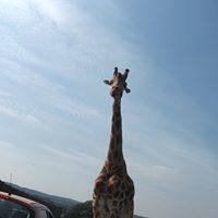 James Labouchardiere