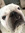 Amy