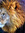 Elenpez | 1 comments
