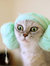 Nishara