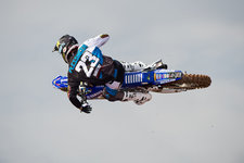 Gaven