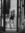 Arven | 6 comments