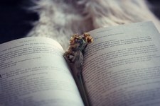 Aryan_ Reads
