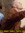 Brady (bradipo) | 152 comments