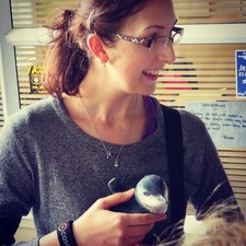 Sarah ~Goddessofthestory~