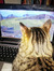 Jessicat