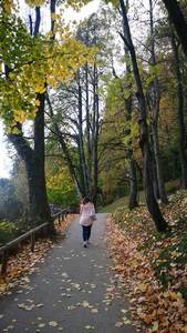 Бојана Дринић