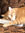 Janice | 5 comments